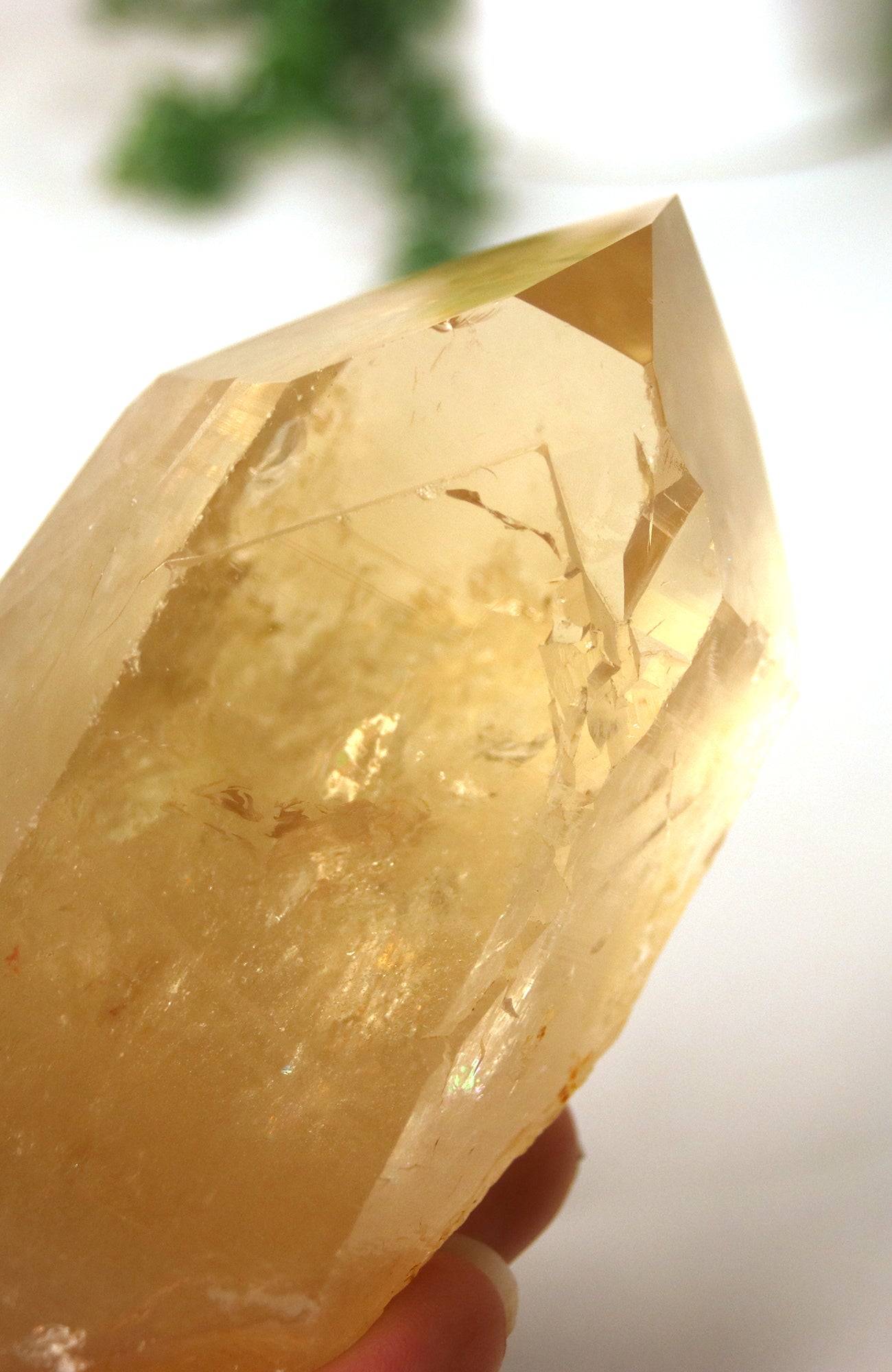 Citrine (Natural) Cathedral Point AAA